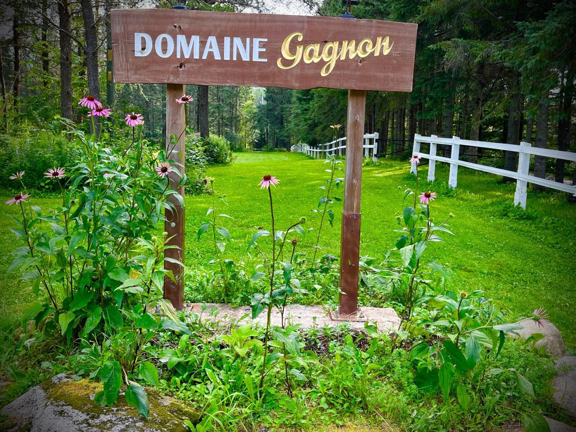 Villa Domaine Gagnon à Saint-Sébastien Extérieur photo