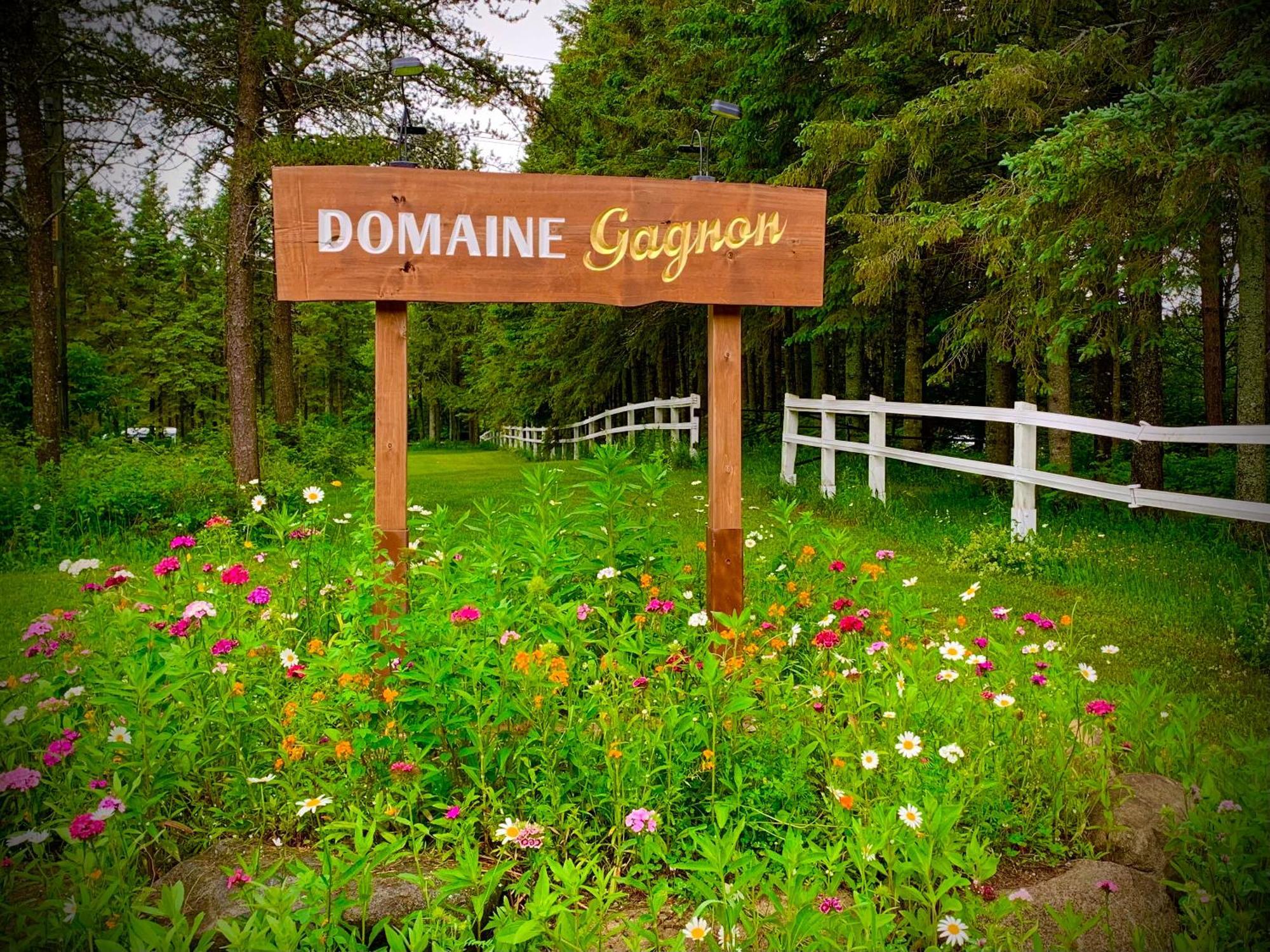 Villa Domaine Gagnon à Saint-Sébastien Extérieur photo