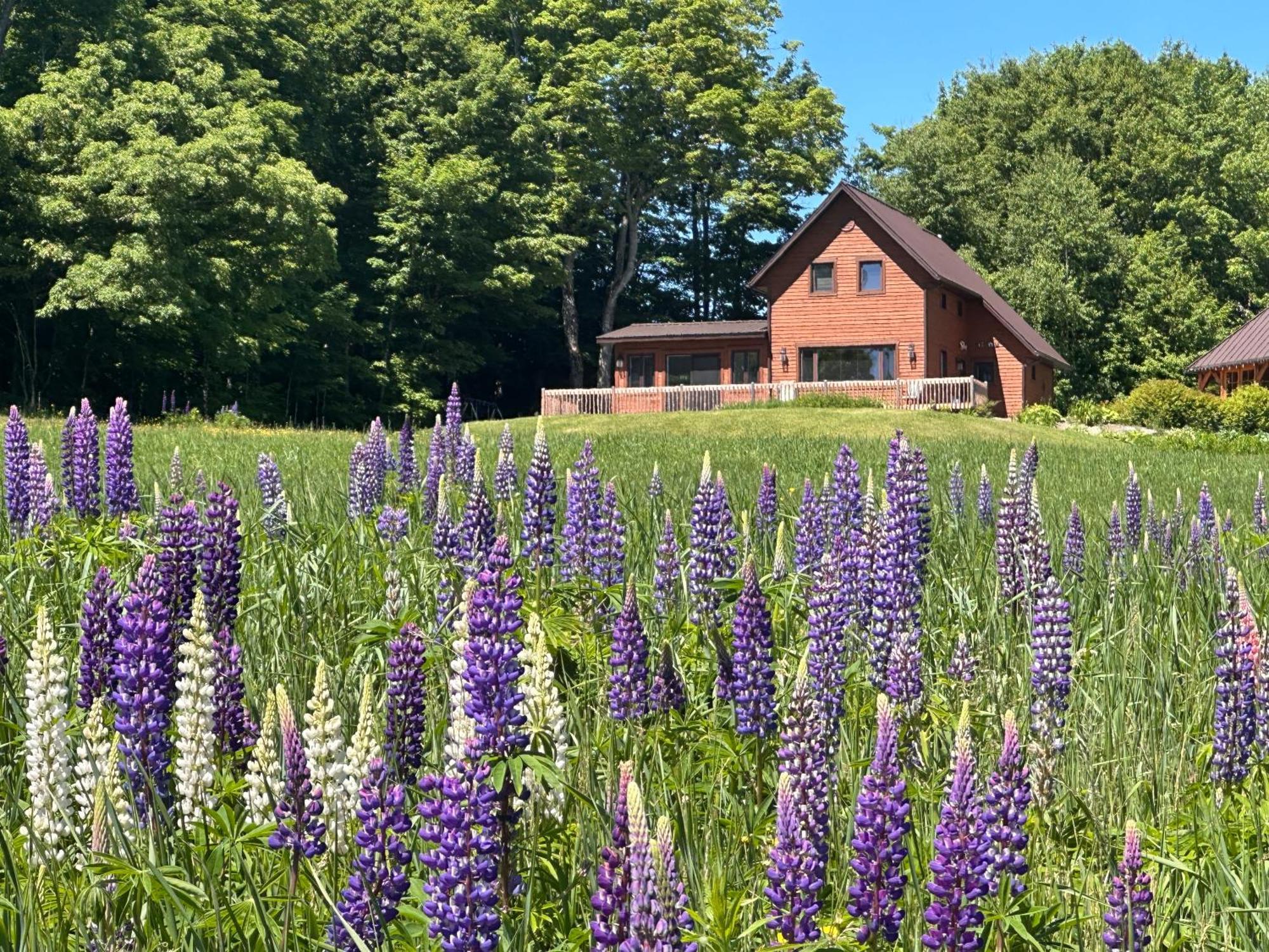Villa Domaine Gagnon à Saint-Sébastien Extérieur photo